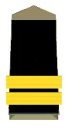 प्रतीक चिह्न Insignia Police Head Constable Senior Constable