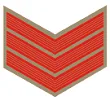 प्रतीक चिह्न Insignia Police Head Constable