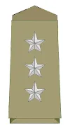 प्रतीक चिह्न Insignia of Deupty Superintendent of Police