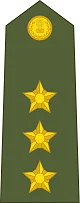 Captain Insignia प्रतीक चिन्ह
