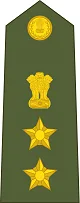 Colonel Insignia प्रतीक चिन्ह
