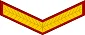 Lance Naik Insignia प्रतीक चिन्ह