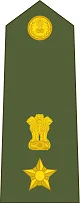 Lieutenant Colonel Insignia प्रतीक चिन्ह