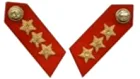Lieutenant General Collar Patch