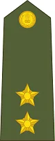 Lieutenant Insignia प्रतीक चिन्ह