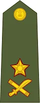 Major General Insignia प्रतीक चिन्ह