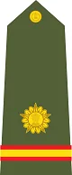 Naib Subedar Insignia प्रतीक चिन्ह