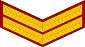 Naik Insignia प्रतीक चिन्ह