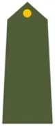 Sepoy Insignia प्रतीक चिन्ह