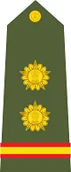 Subedar Insignia प्रतीक चिन्ह